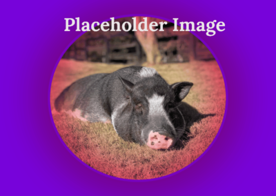 placeholder - Joyous Acres
